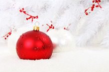 ¡Feliz Navidad y próspero Año Nuevo!